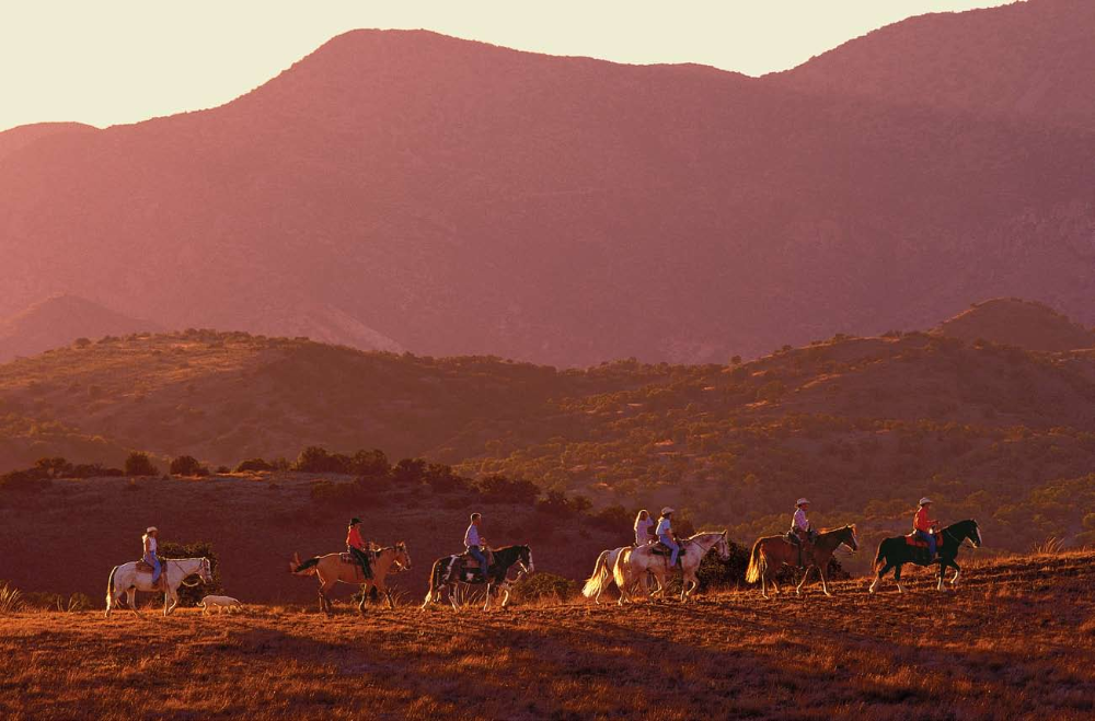 Backlit by the late-afternoon sun, horses, riders and a wrangler's dog named Honey cast long shadows across a grassy ridge in the San Rafael Valley.