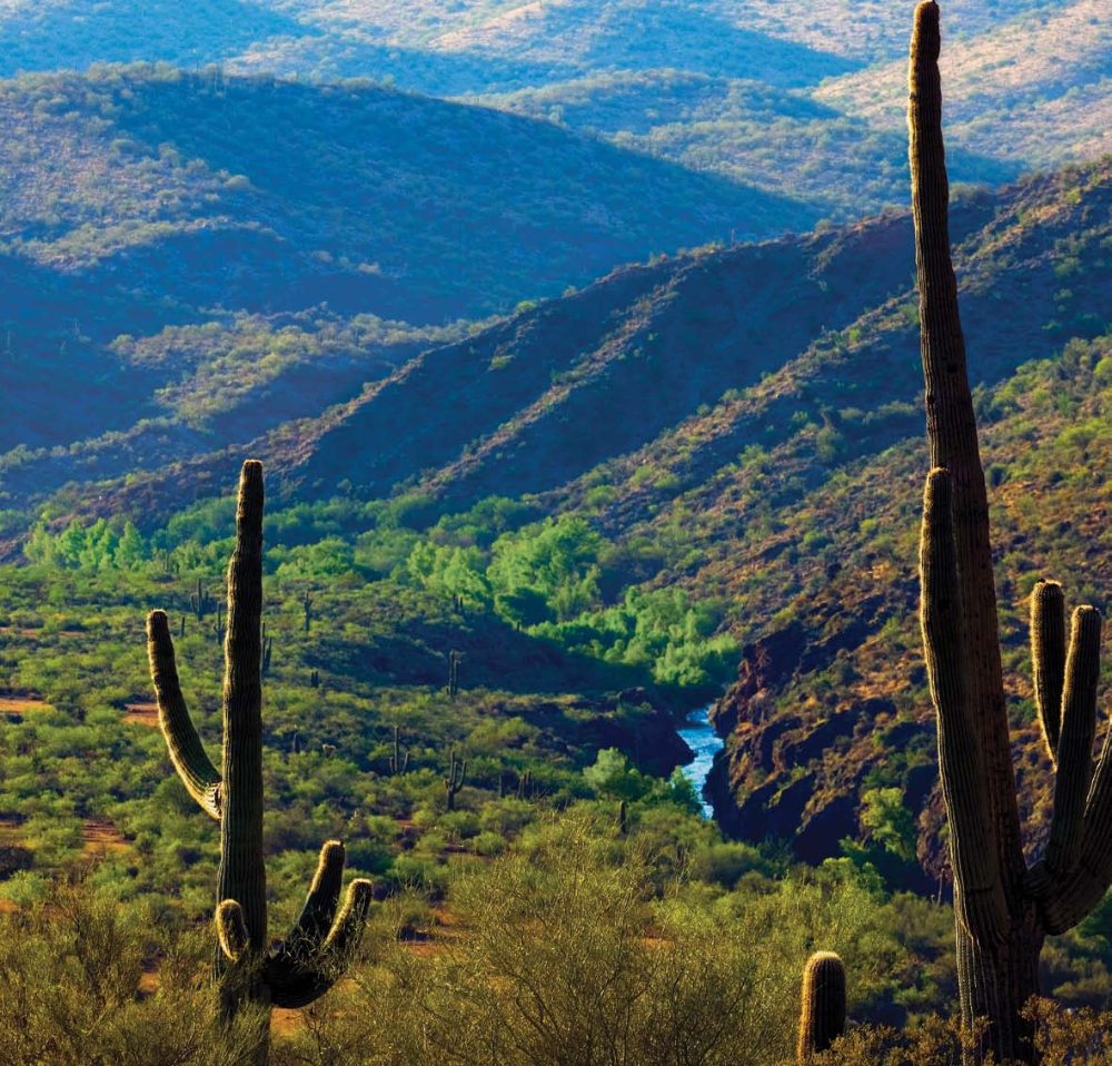 Leo W. Banks, Morey K. Milbradt