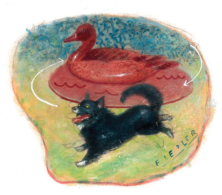 Joseph Daniel Fiedler