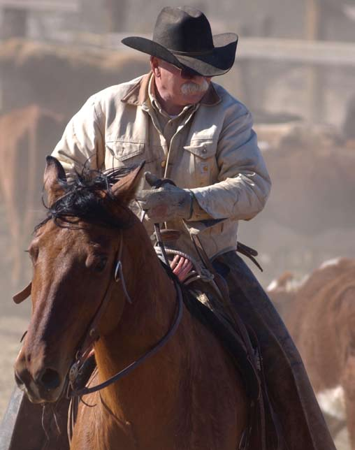 At 71, Pat Lauderdale shows no signs of giving up the cowboy life. He's looking forward to attending the cowboy reunion in Williams this July. The Arizona Cowpuncher Association will dedicate this year's rodeo to Pat, who is a founding member.