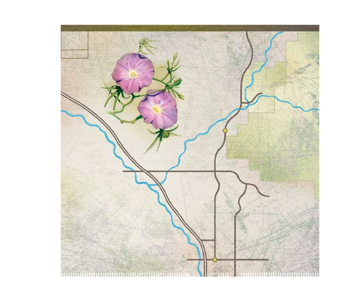 Kevin Kibsey