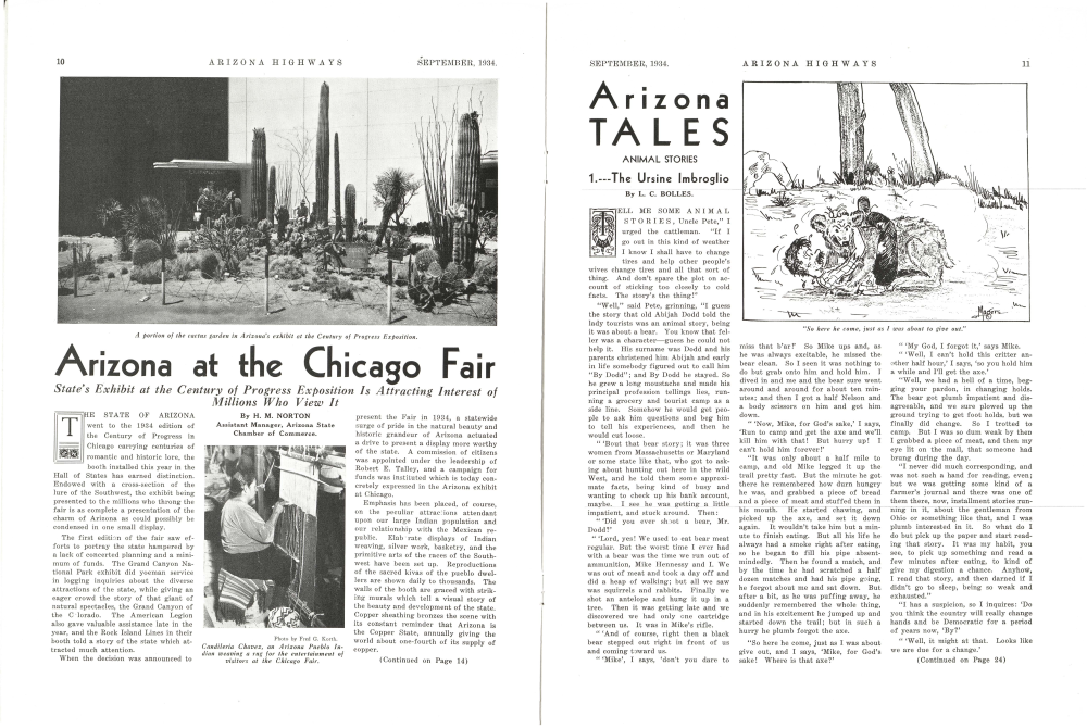 A portion of the cactus garden in Arizona's exhibit at the Century of Progress Exposition.