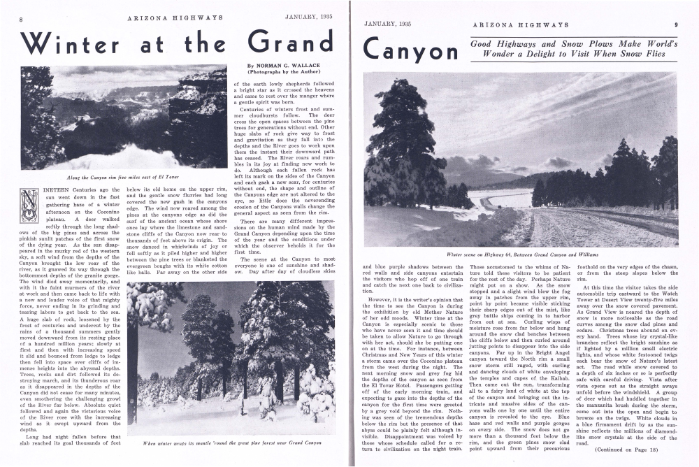 Along the Canyon rim five miles east of El Tovar