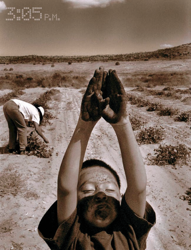 A Dawn Kish photo from Once Upon a Day in Arizona, October 2006