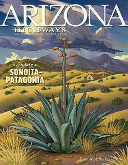 Sonoita-Patagonia