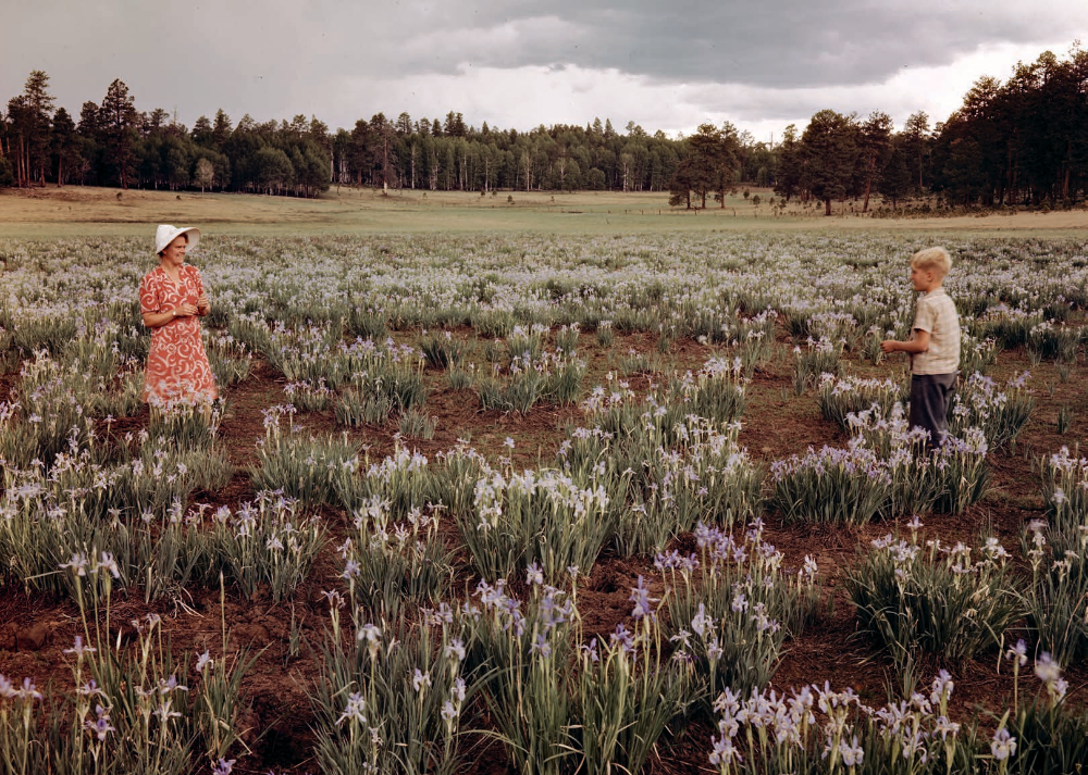 Josef Muench made this photo of his wife, writer Joyce Rockwood, and their son, David Muench, during one of the family’s many adventures in the White Mountains. NORTHERN ARIZONA UNIVERSITY CLINE LIBRARY