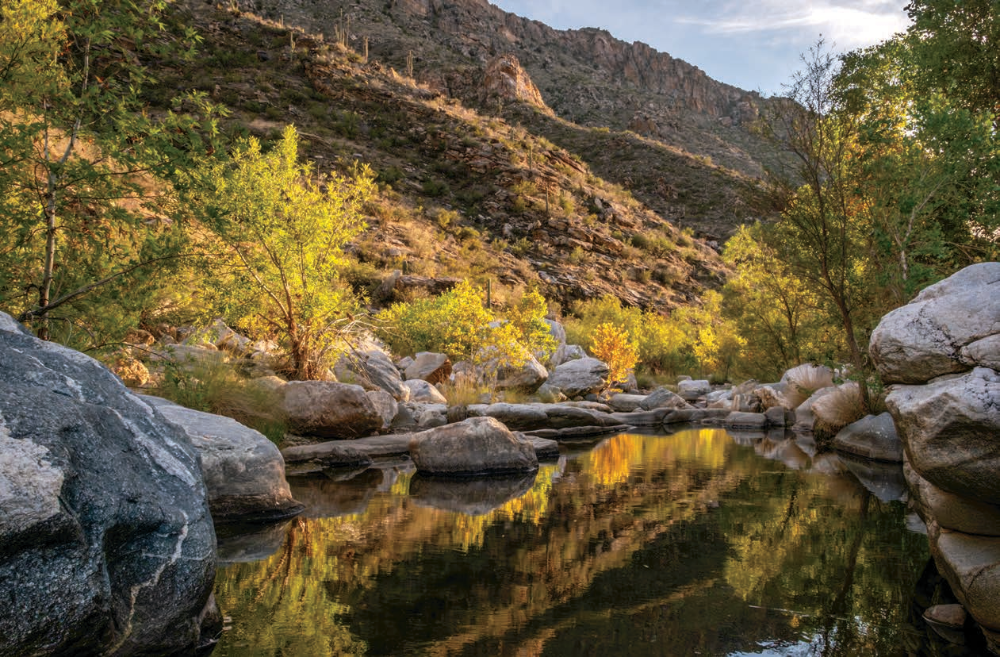 A placid pool mirrors rocks, vegetation and saguaro-studded slopes along the Sabino Canyon Trail.