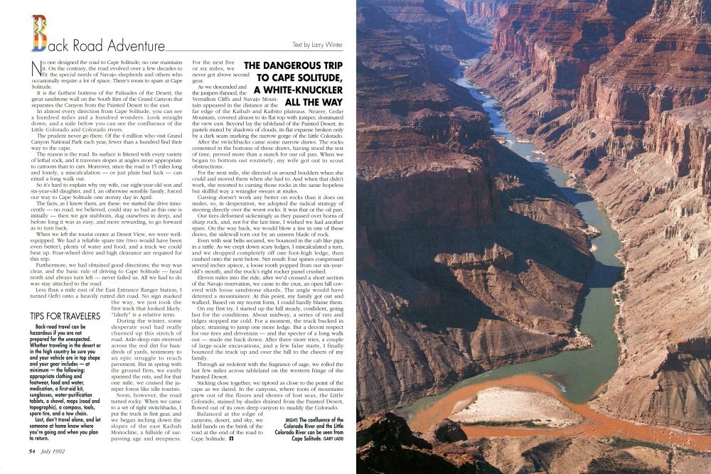The confluence of the Colorado River and the Little Colorado River can be seen from Cape Solitude.