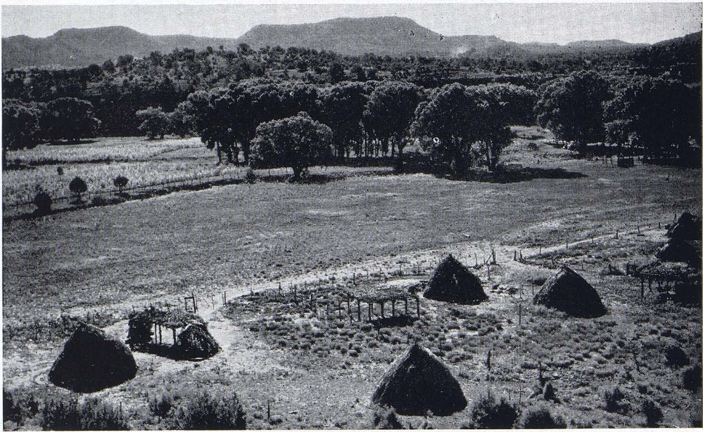 Apache land between White River and Cibecue. Note cultivated area,