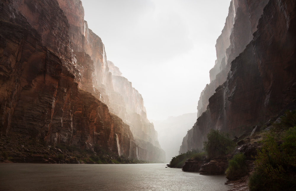 Adam Schallau