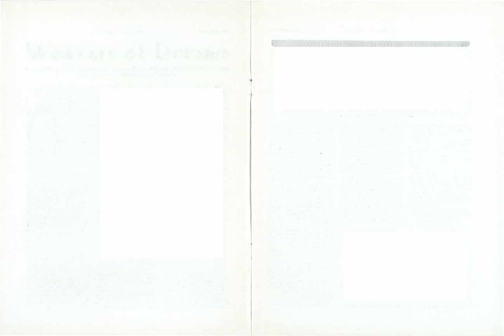 A Navajo weaver at her work.