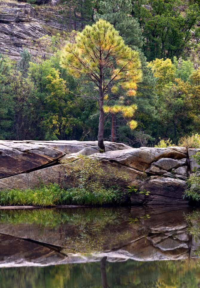 The calm water of East Clear Creek mirrors the scenery along the Kinder Crossing Trail.