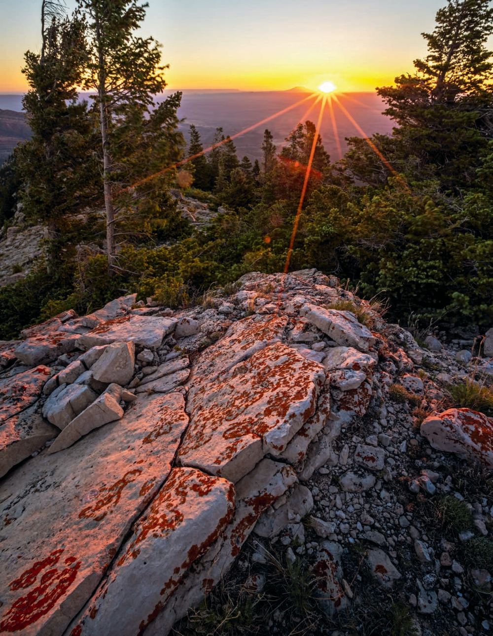 The rising sun warms a rocky outcropping at Marble Viewpoint, a remote Kaibab Plateau overlook. This viewpoint is accessible via a series of Kaibab National Forest roads. | Rebecca Wilks