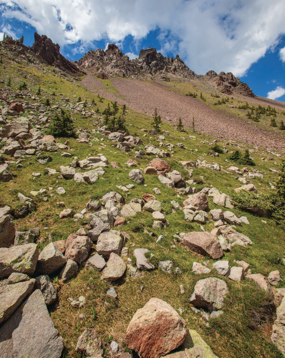 Tundra vegetation grows on a rocky slope below the north side of Agassiz Peak. Because of the presence of an endangered plant species, climbing to the top of Agassiz is prohibited except when snow covers the ground. | Tom Bean