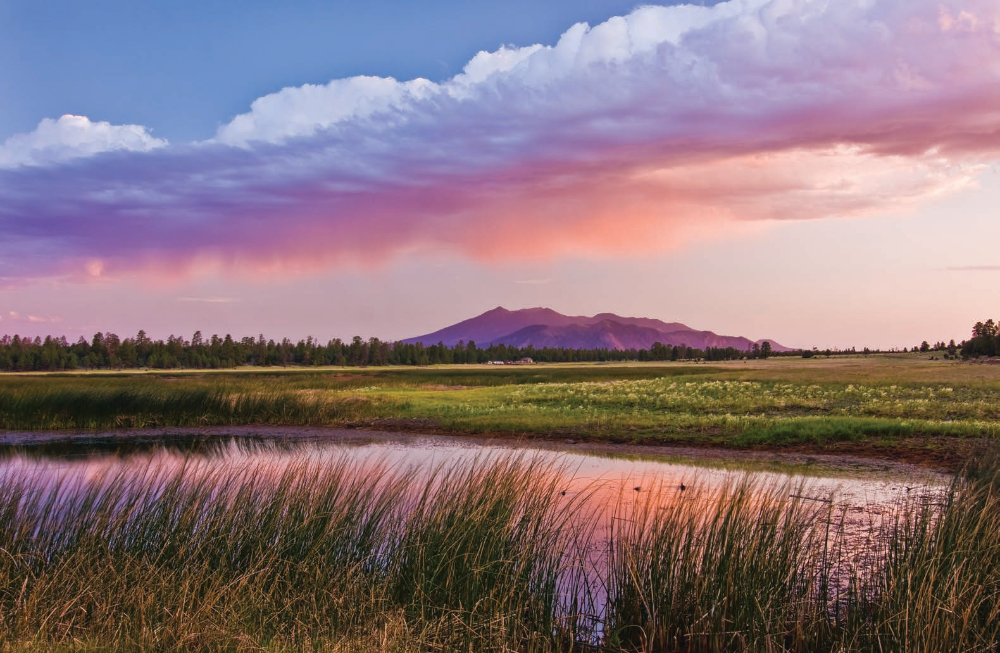 A monsoon storm colors the evening sky over the distant Peaks in a view from Marshall Lake, southeast of Flagstaff. Agassiz Peak is on the left and appears slightly higher than Humphreys Peak from this angle. | Joel Hazelton