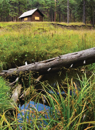 Pinchot Cabin, which dates to the 1930s, marks the turnaround point for this hike. | Joel Hazelton