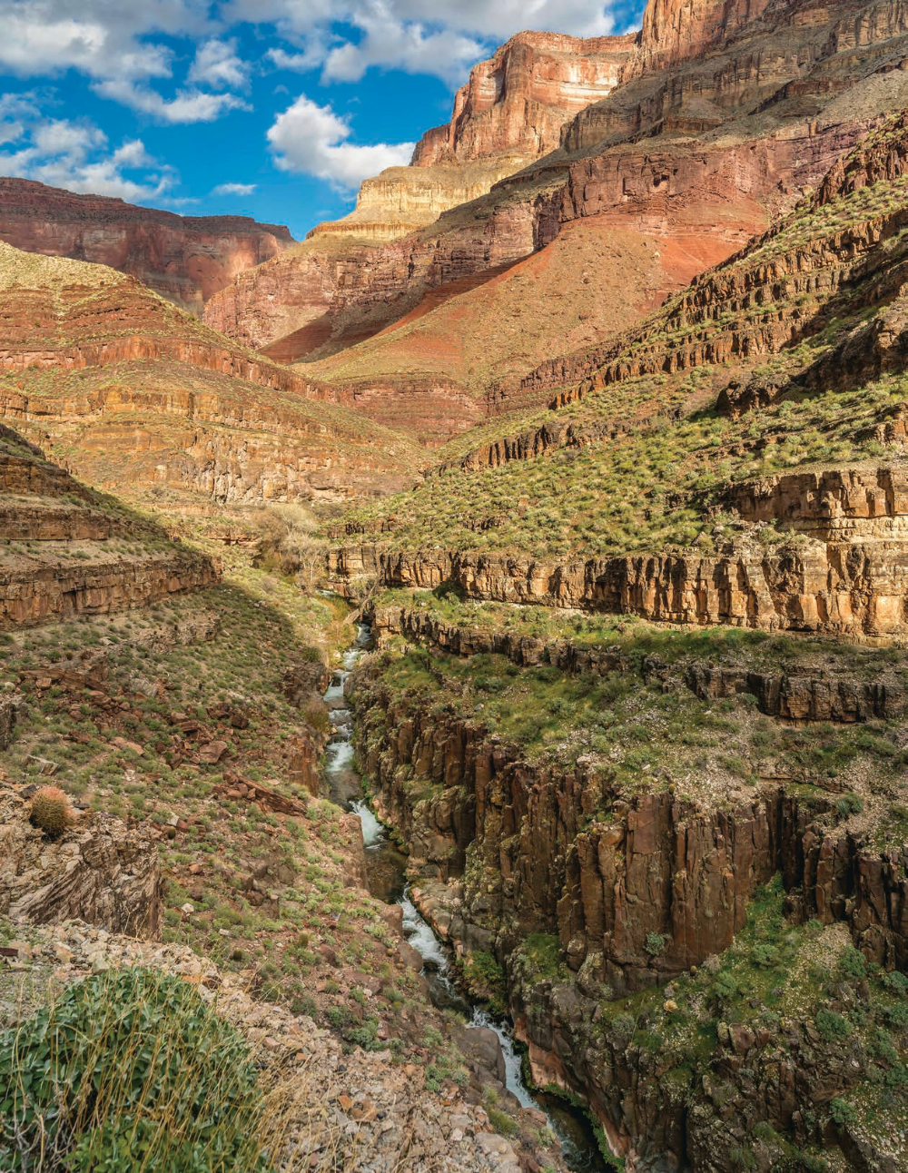 Waterfalls on Tapeats Creek cut through a basalt gorge en route to the Colorado River. Tapeats Spring, where the creek originates, is the largest spring in the Canyon.