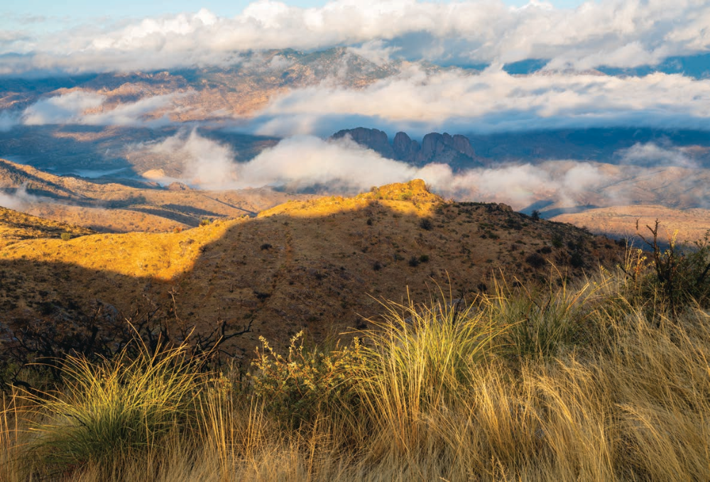 Morning light and low, wispy clouds define a view from the North Santa Teresa Wilderness, northwest of Safford in Eastern Arizona. Located adjacent to the San Carlos Apache Tribe’s land, this 5,800-acre wilderness area protects Black Rock, a landmark that holds spiritual significance to the tribe. | Jonathan Buford | FUJIFILM GFX 50R, 1/4 SEC, F/20, ISO 160, 62 MM LENS
