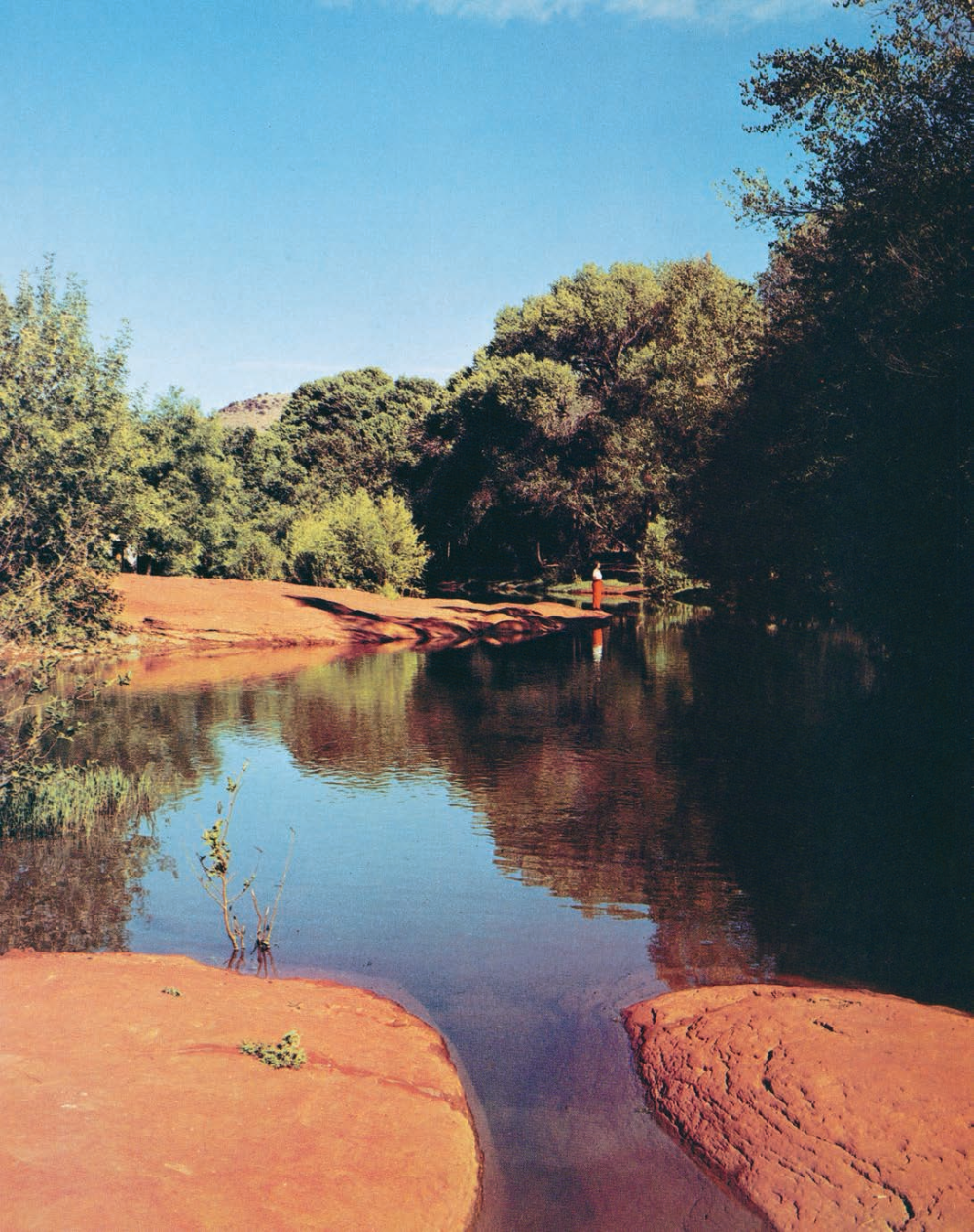 Sandstone cradles the placid water of Oak Creek, near Sedona. Many anglers visit Oak Creek in search of brown and rainbow trout.