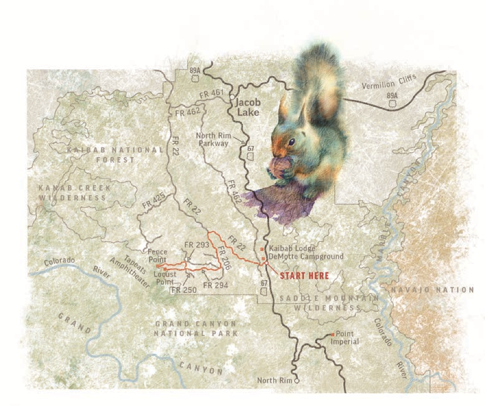 Map by Kevin Kibsey