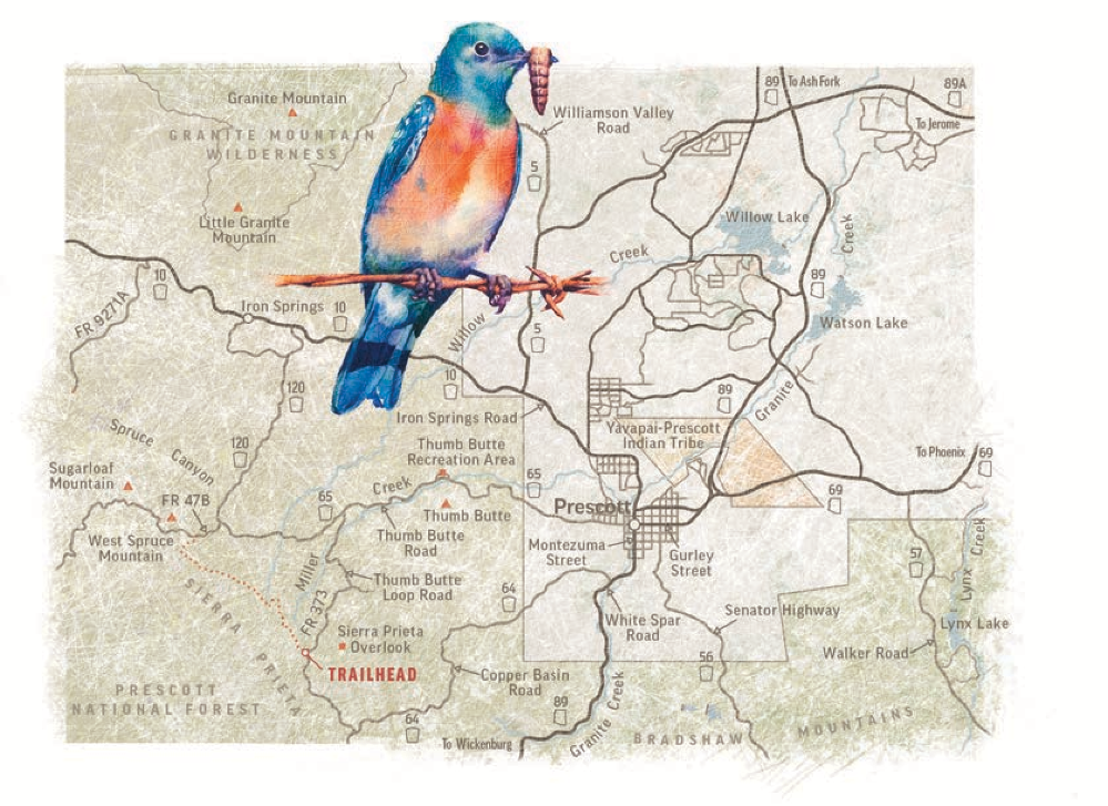 Map by Kevin Kibsey