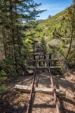 Photograph by Theresa Rose Ditson
