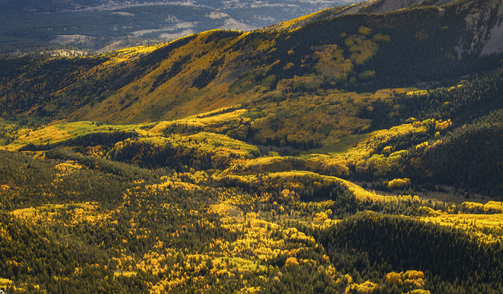 Morning sunlight illuminates fall foliage, primarily aspens, in the Inner Basin of the San Francisco Peaks in a view from Humphreys Peak, the highest point in the range (and Arizona). Autumn in the Inner Basin typically is most vibrant in late September or early October. | Joel Hazelton | CANON EOS 6D, 1/200 SEC, F/11, ISO 400, 75 MM LENS