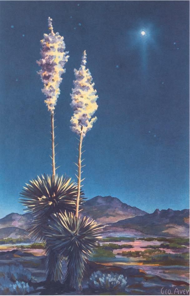 In December 1948, the magazine featured Avey’s watercolor painting of Southern Arizona’s yuccas and mountains beneath a starry sky.