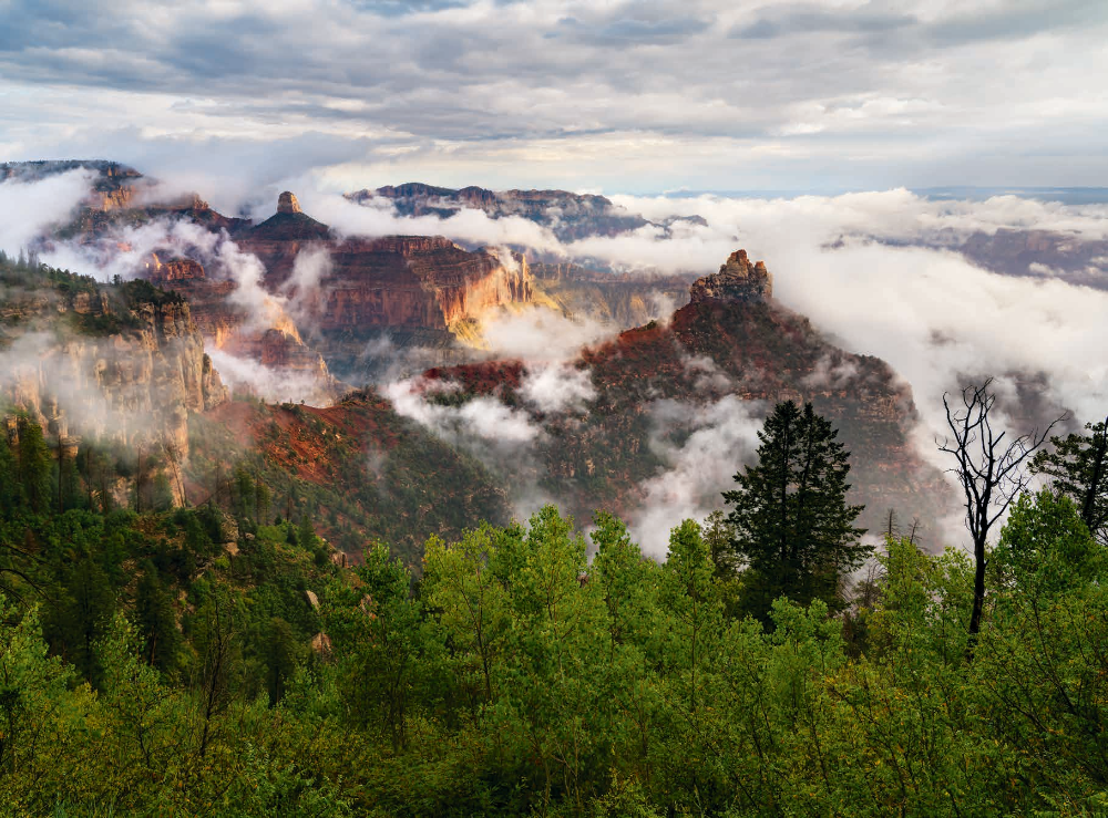 Clouds clear from below the Canyon’s rim after overnight rain, revealing the multicolored formations visible from Vista Encantada on the North Rim. This overlook is along paved Cape Royal Road. FUJIFILM GFX100S, 1/10 SEC, F/13, ISO 100, 32 MM LENS