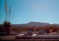 Photograph by Mark Lipczynski