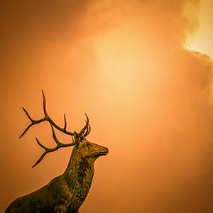 Photograph by Gerry Groeber