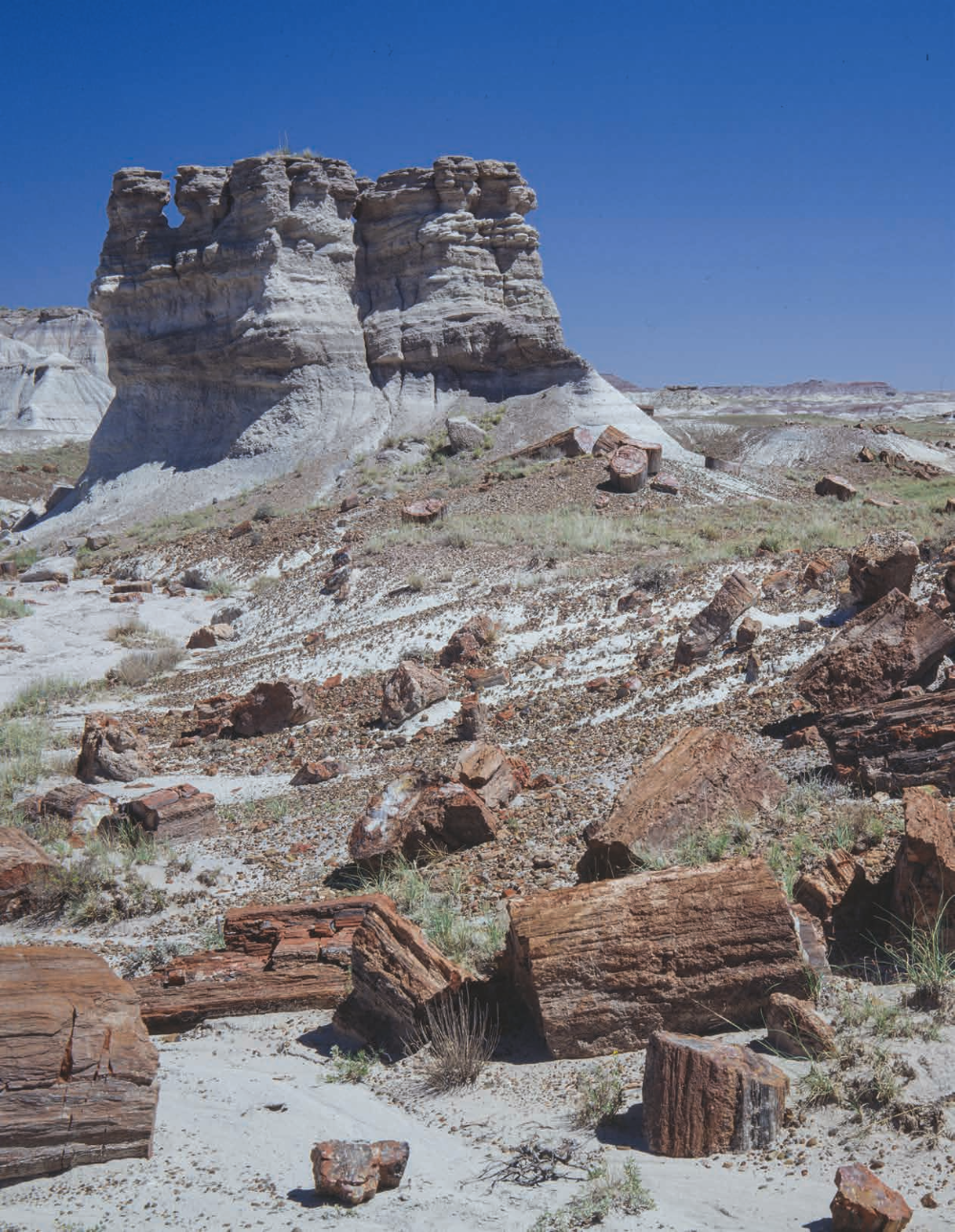 Chunks of petrified logs anchor a view of a layered butte at Petrified Forest National Park, near Holbrook. The petrified logs at the park are the echoes of trees that grew there 208 million to 225 million years ago.