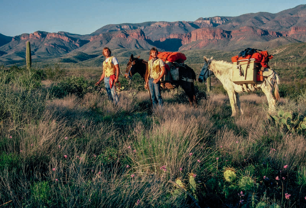 Gil (left) and Troy Gillenwater search for a suitable campsite near the Sierra Ancha during their 1982 trek across Arizona. With them are Judy (left) and Grandma, their pack mules for most of the 810-mile journey.