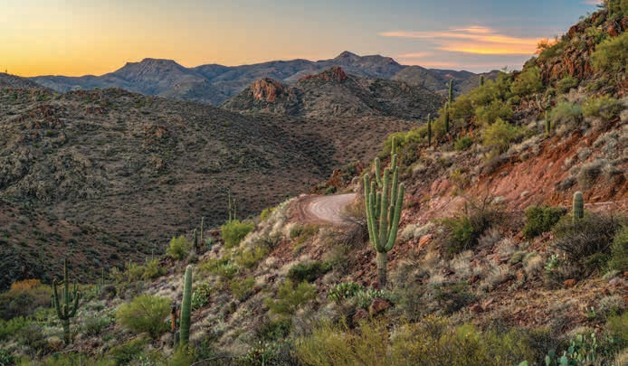 A bend in the road offers a sunrise view of more desert flora and distant peaks