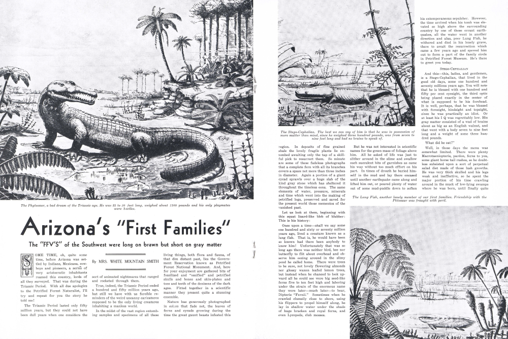The Phytosaur, a bad dream of the Triassic age. He was 25 to 30 feet long, weighed about 1500 pounds and his only playmates were beetles.