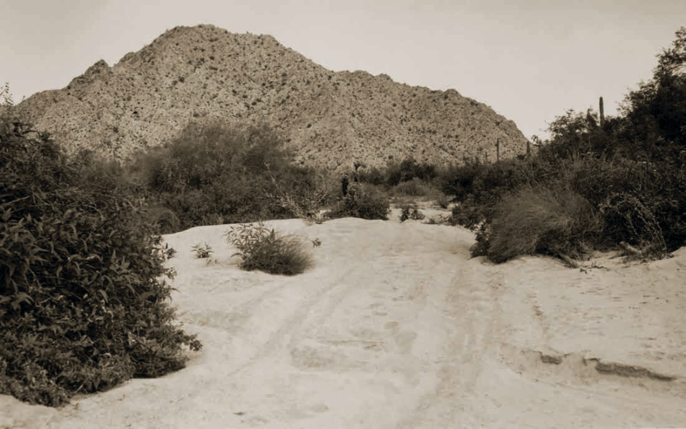 Desert mountains and saguaro cactuses loom over a sandy road in Southwestern Arizona’s Yuma County in the mid-1930s. Sonoran Desert National Park, proposed for this area in the 1960s, never materialized. | Arizona State Library, Archives and Public Records