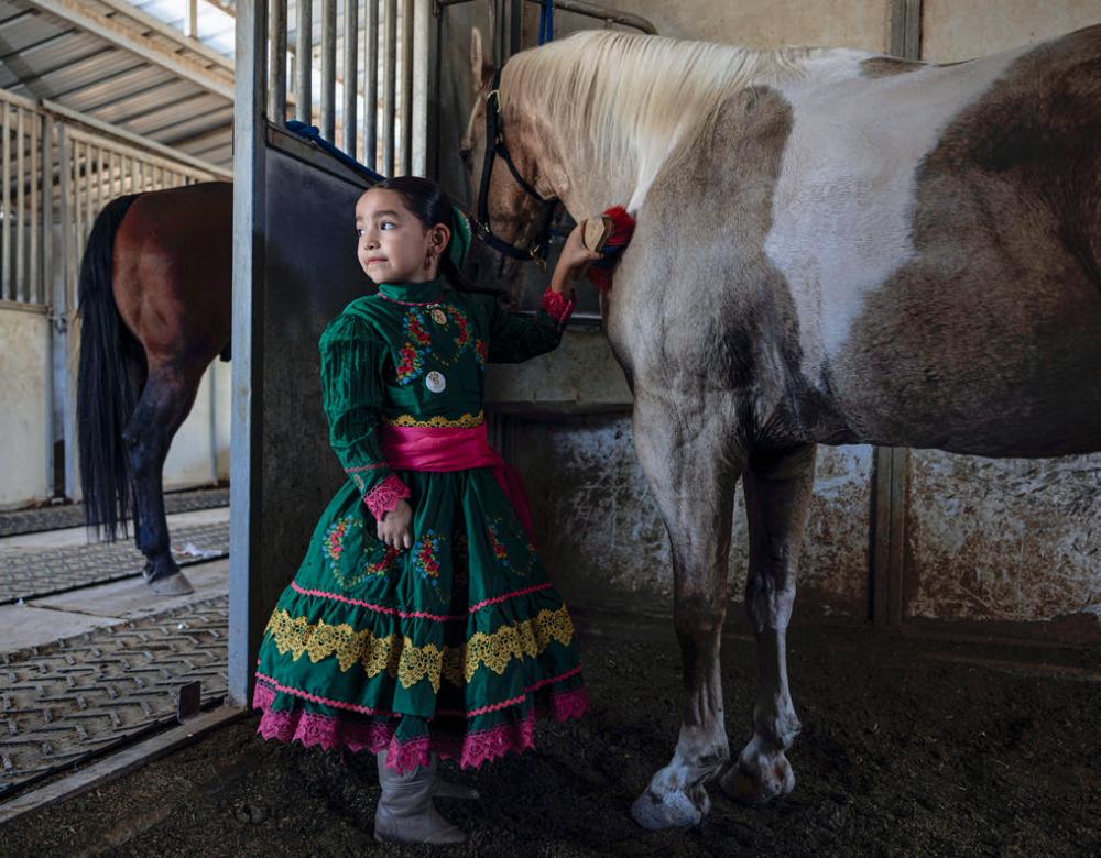 Another of Yolanda’s granddaughters, Addie Ochoa, brushes one of the horses in preparation for the event. Most escaramuza participants are the daughters and granddaughters of equestrians.