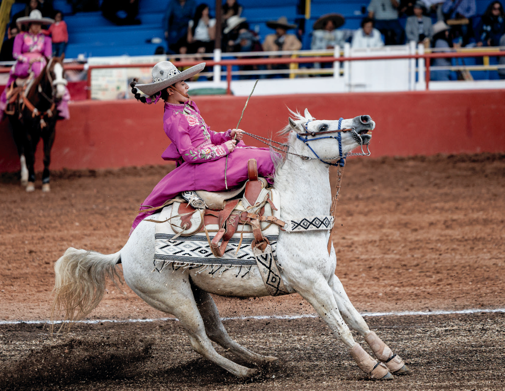 A member of another team, Corazón de Acero, brings her horse to a stop during the Torneo del Desierto competition. Riders spend considerable amounts of money on outfits, saddles and tack, along with owning and caring for their horses.