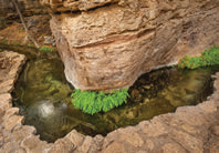 Photograph by Paul Gill