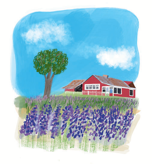 Illustration by Patti Blau