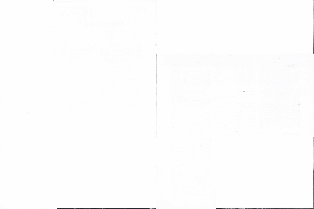 A lonely Yucca against the evening sky.