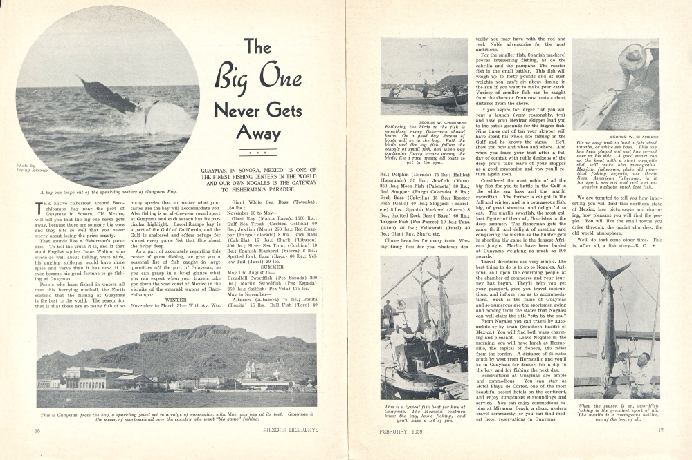 A big one leaps out of the sparkling waters of Guaymas Bay.