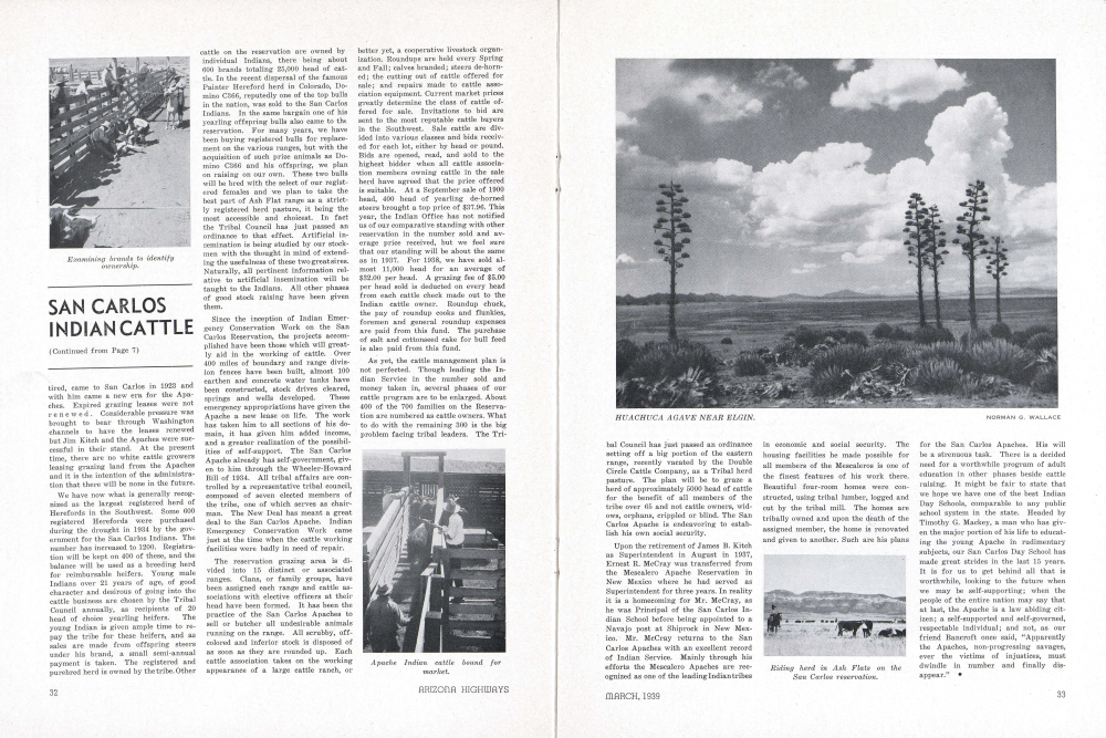 Examining brands to identify ownership.