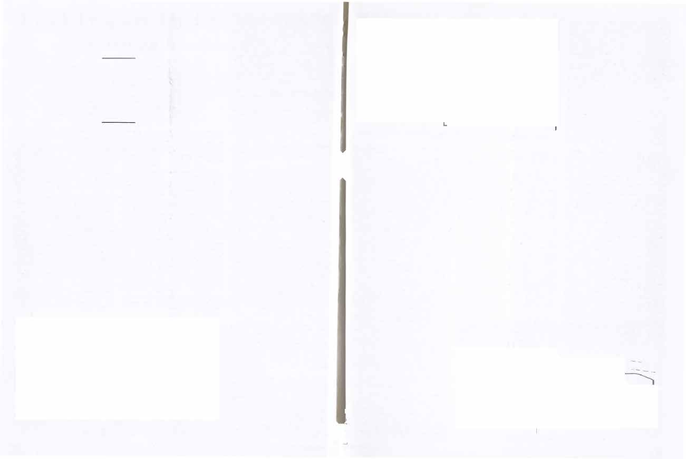 Beauty follows the Arizona highway. Here is a view of the roadside improvements on U. S. 60, 70, 80 and 89 between Tempe and Phoenix.