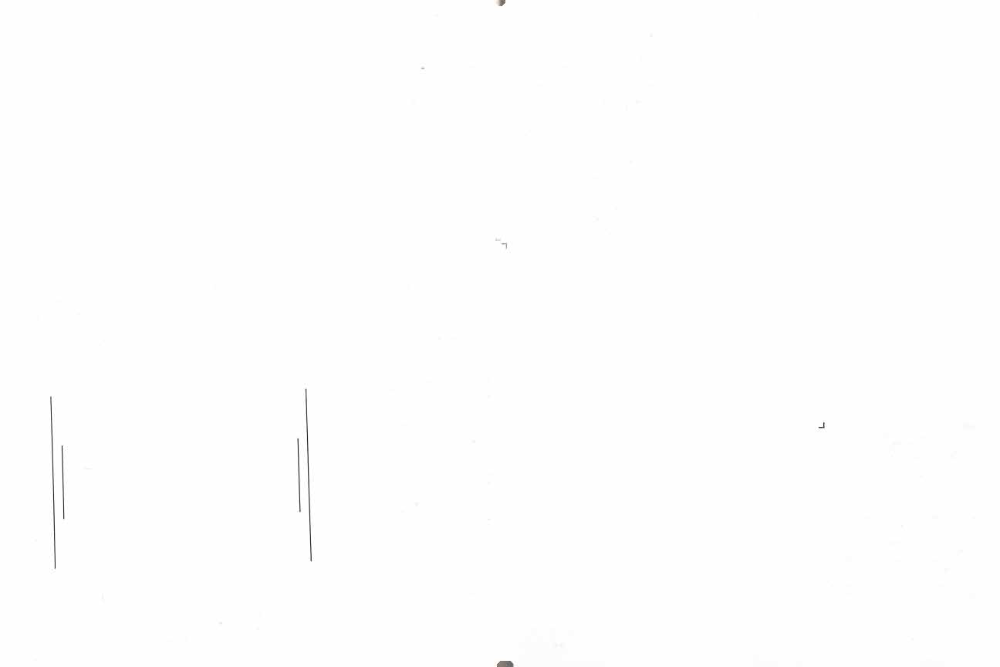 Enlarged photo of tree rings, showing between dots distinctive ring pattern of ten wide and narrow rings. This is due to climatic variations when made, and is found only in tree alive about 893 A. D., date of wide center ring. (Reproduction by special permission of National Geographic Society.)