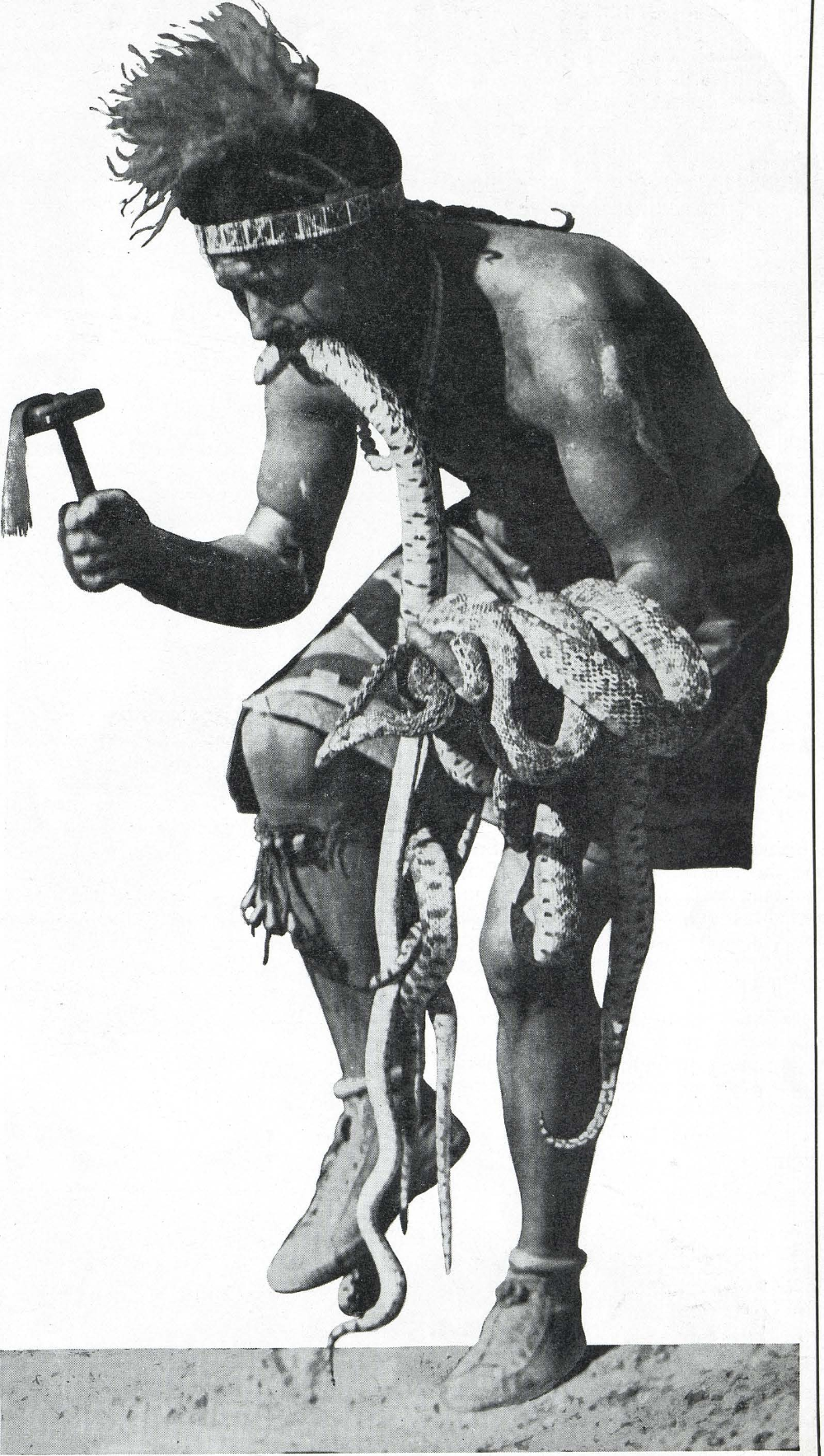 SMOKI SNAKE PRIEST
... in real life he carries the mail