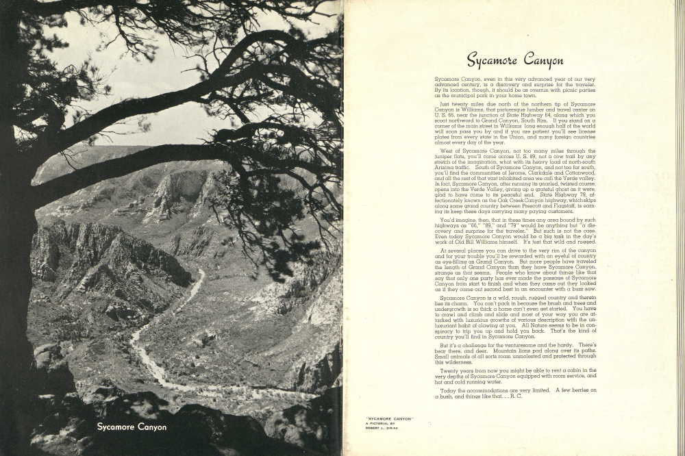 Sycamore Canyon
