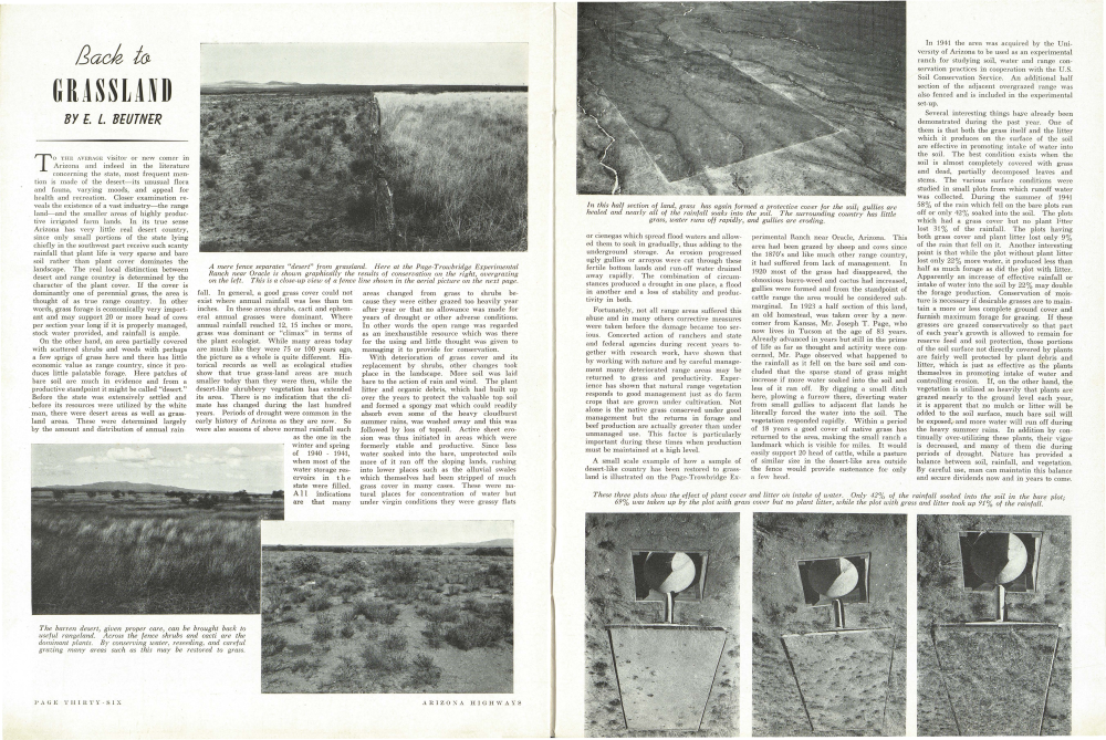 A mere fence separates "desert" from grassland.