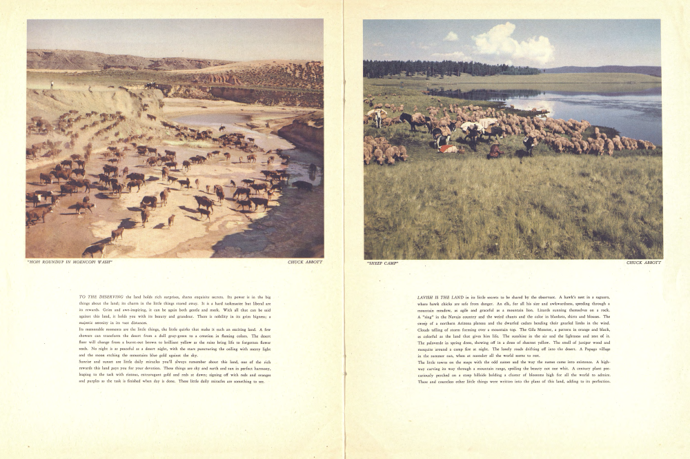 "HOPI ROUNDUP IN MOENCOPI WASH"