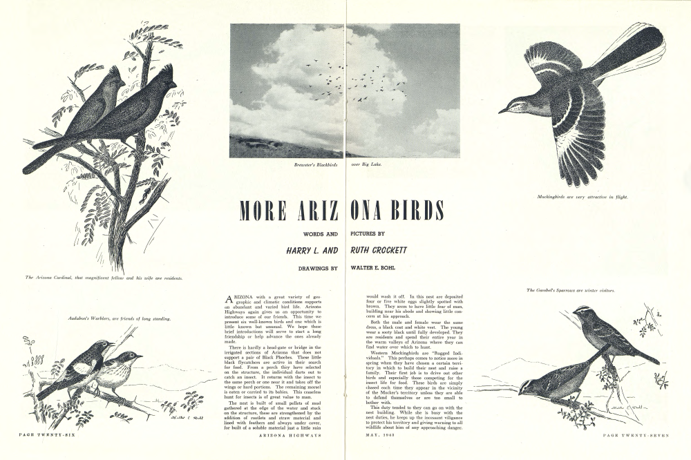 The Arizona Cardinal, that magnificent fellow and his wife are residents.
